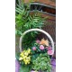 Canasto de plantas